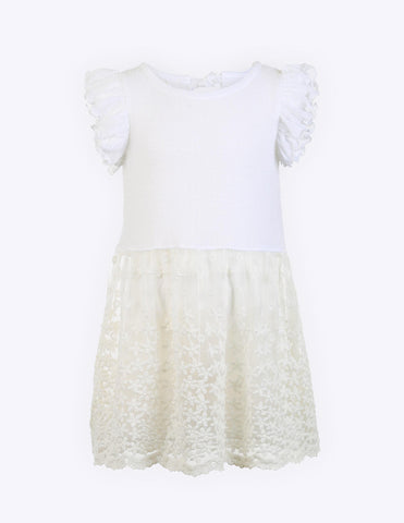 Frilled Sleeve Lace Dress